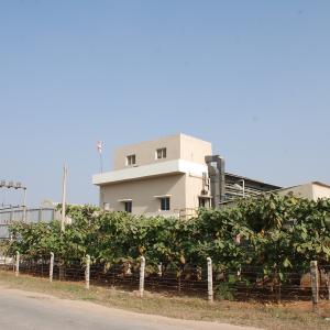Side View